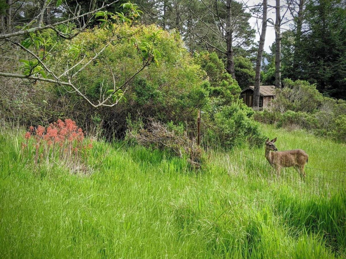 The Quail'S Nest Retreat Villa Point Reyes Station Exterior foto